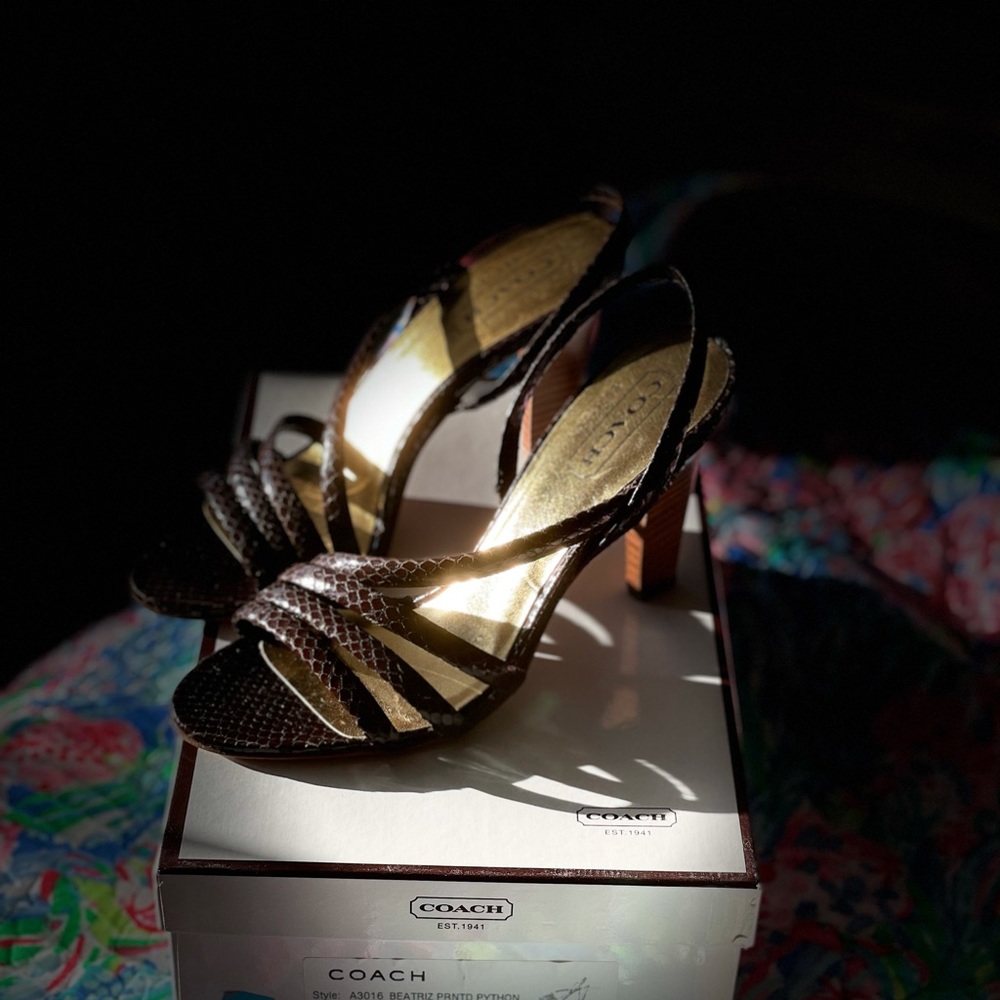 Coach python brown sandals NIB! 🤩🤩 - Picture 4 of 4